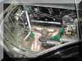 P8290020 800x600.jpg